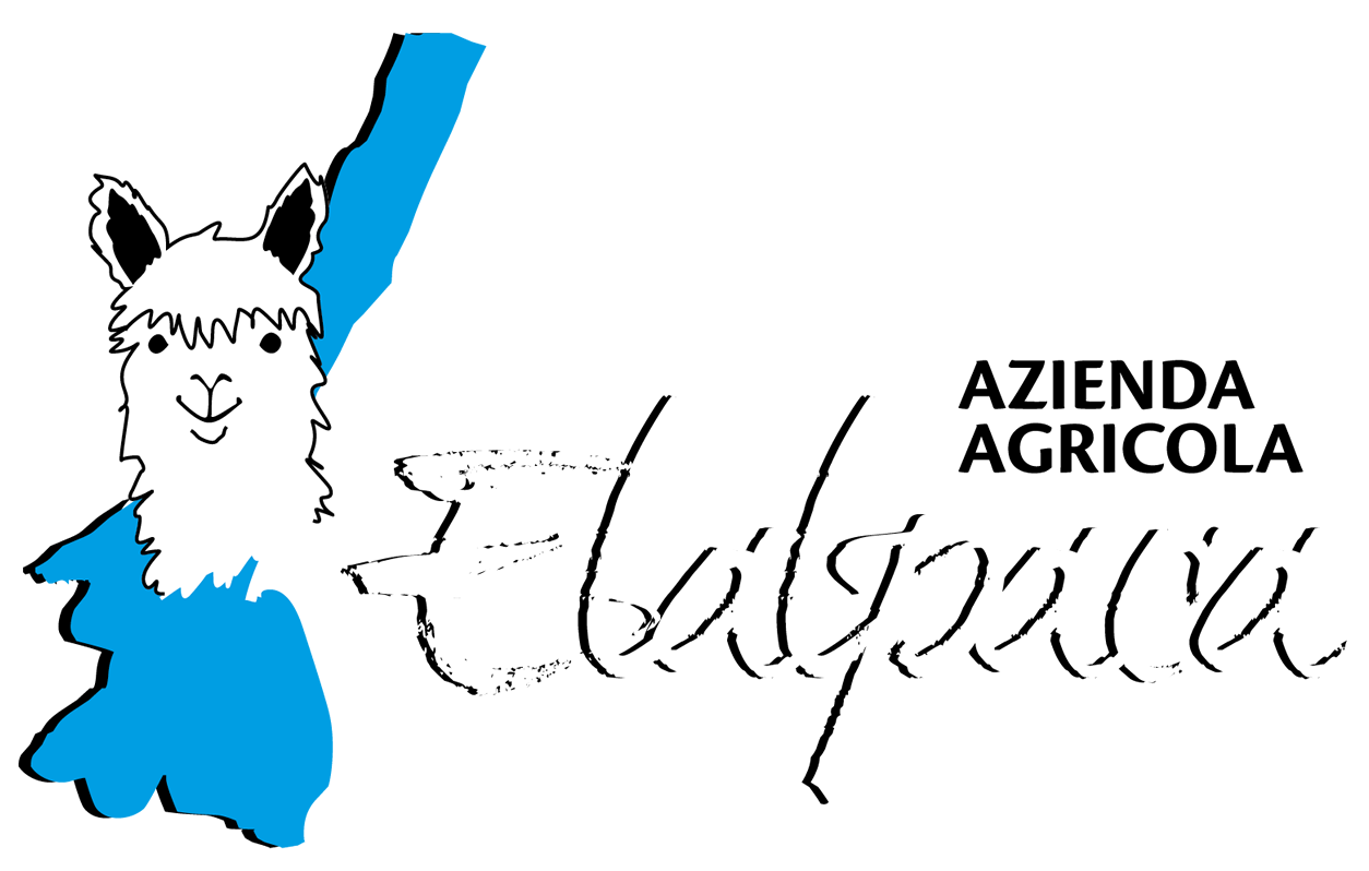 logo-Elalpaca-bianco